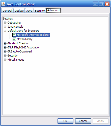 Снимок экрана опций Control Panel with Advanced Tab Java