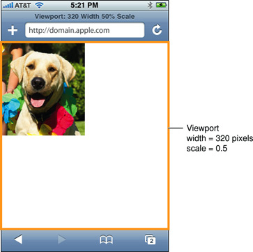 Viewport with width set to 320 and scale set to 50%