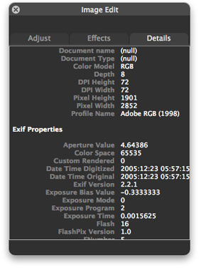 The Details pane of the Image Edit panel