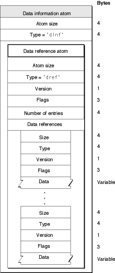 The layout of a data information atom
