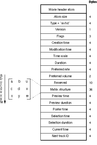 The layout of a movie header atom