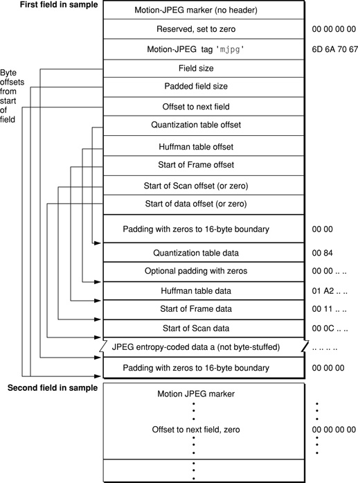 Motion-JPEG B dual-field sample data