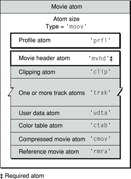The layout of a movie atom