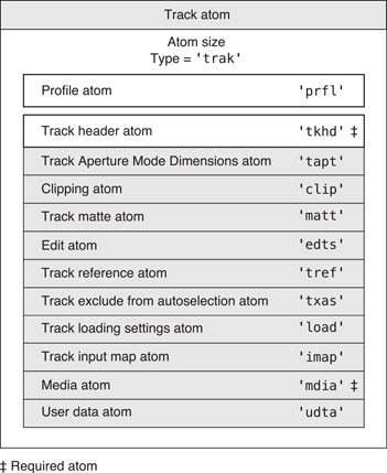 The layout of a track atom