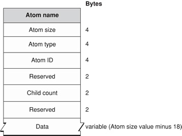 QT Atom Layout