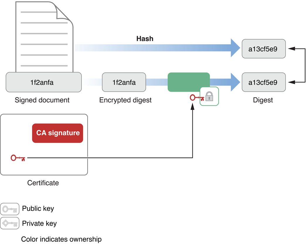 Verifying a digital signature