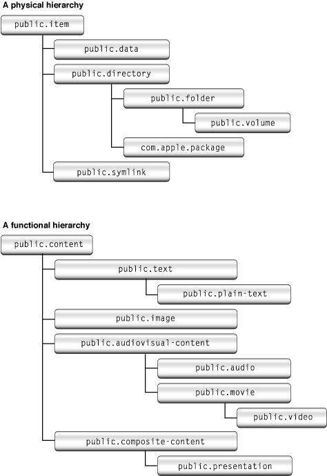 Physical and functional hierarchies