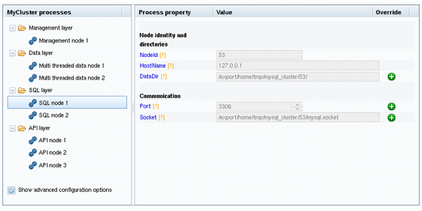 Определите процесс Атрибутов с помощью информационных атрибутов показа панели для процесса SQL, выбранного в дереве.